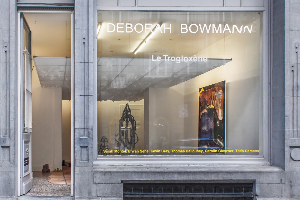 gallery exhibition deborah bowmann